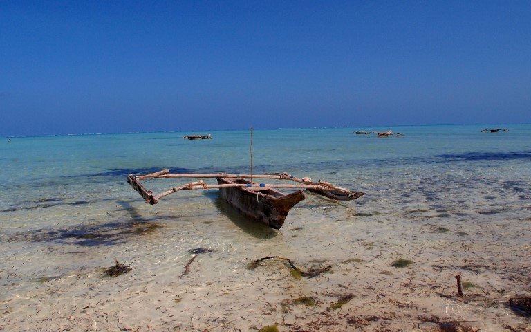 Unloaded sailing boat parked close to the beach