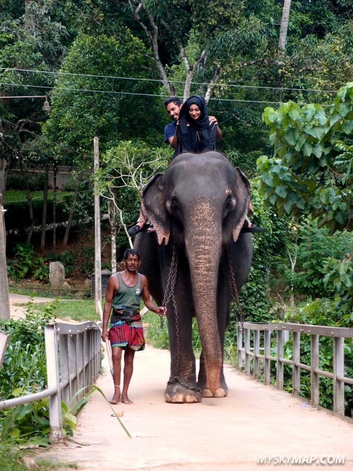 Elephant back ride