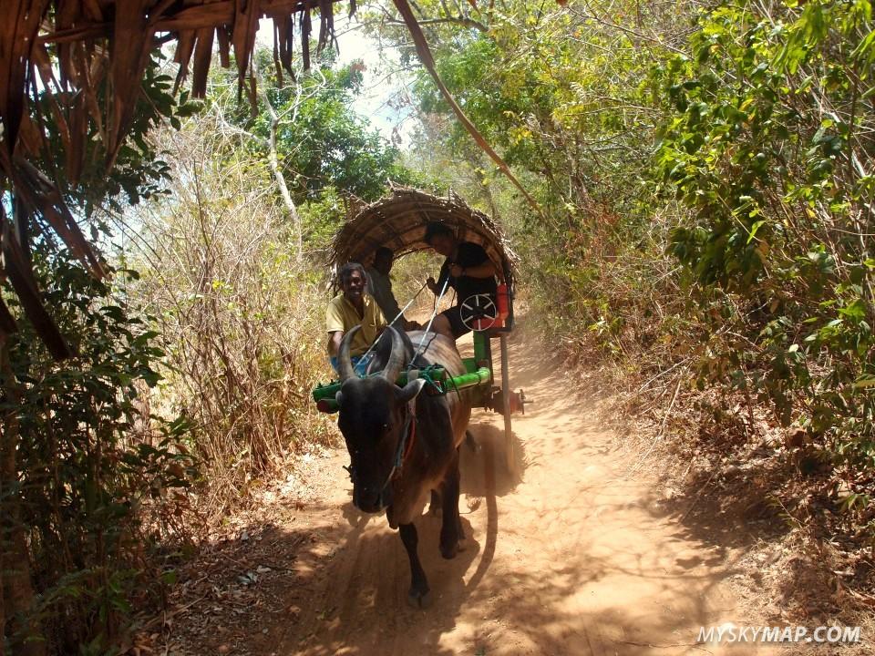 carriage to he farm house