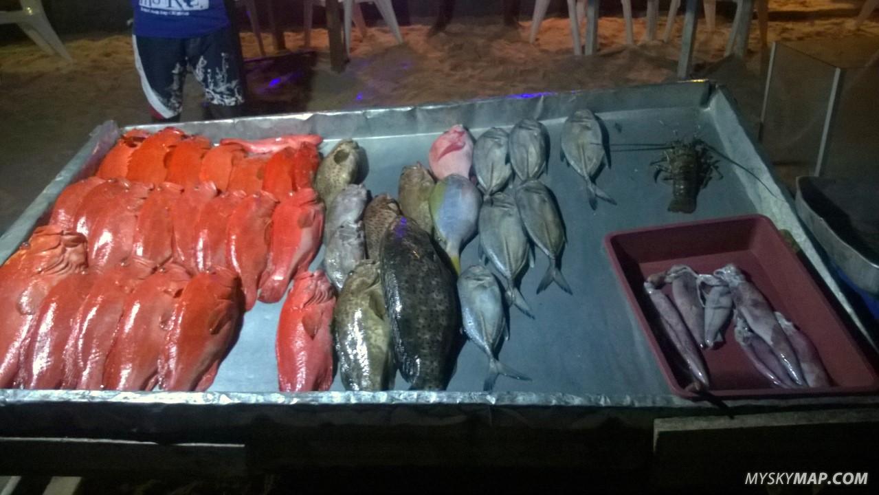 Daily catch selection in a beach restaurant